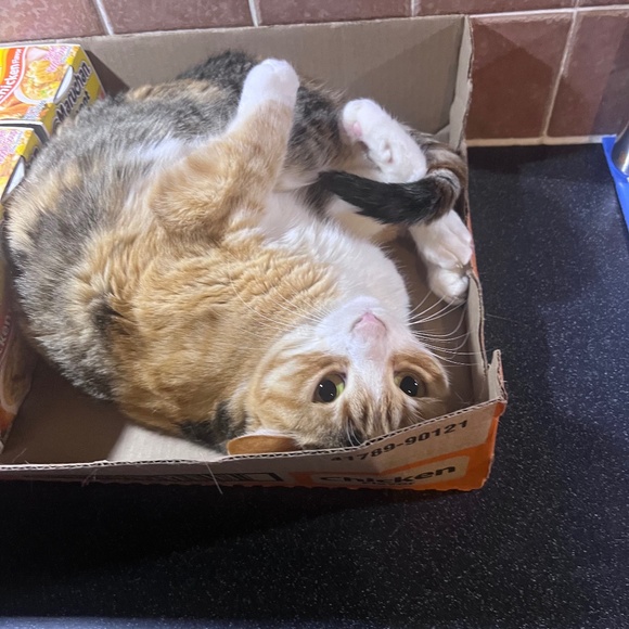 Meet your Posher, Dynamitelotus - Picture 11 of 14